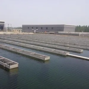 Sealing solutions for domestic water supply and plumbing systems